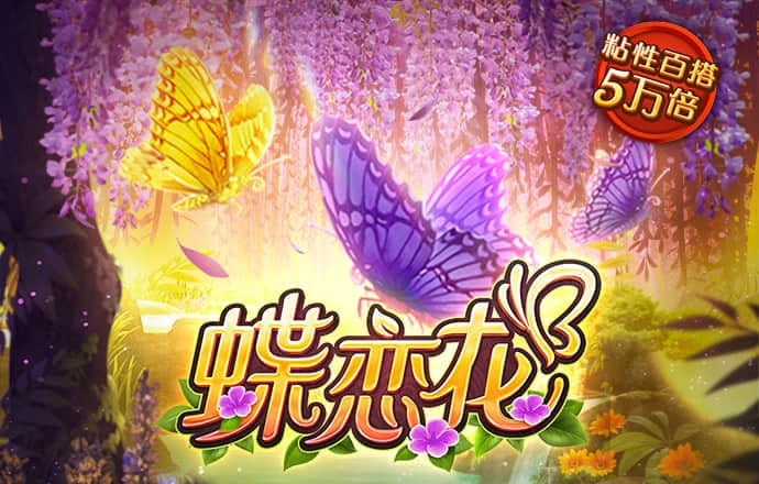 6t体育网页登录